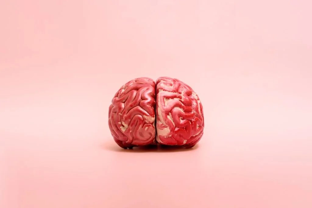 Imagem do post: A Avalição Neuropsicológica é a chave para liberar todo o seu potencial