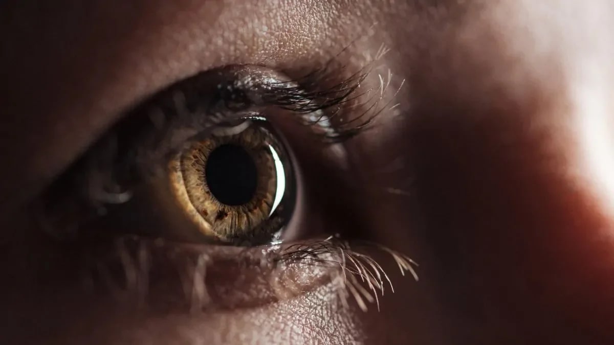 Imagem de capa do post: A eficácia da terapia EMDR, para a Saúde Mental.